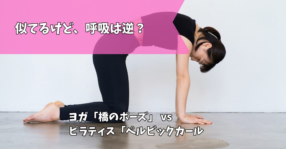 ピラティスとヨガ